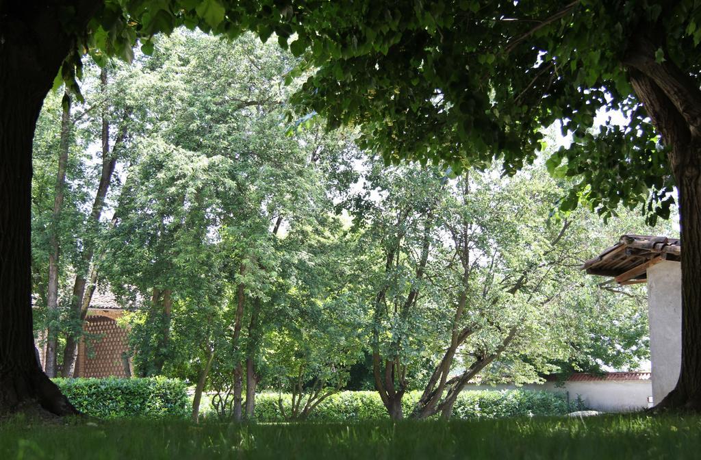Tenuta Ajrale Vigone Extérieur photo